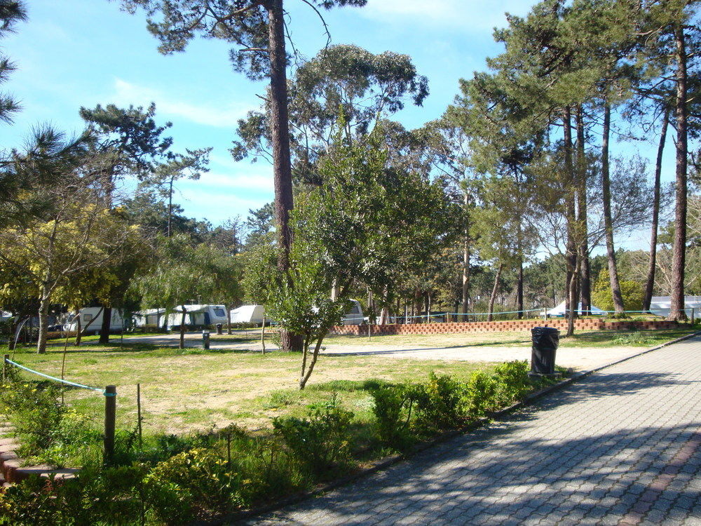 Parque De Campismo Orbitur Caminha Hotel Bagian luar foto