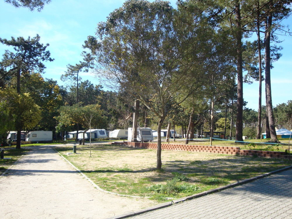 Parque De Campismo Orbitur Caminha Hotel Bagian luar foto